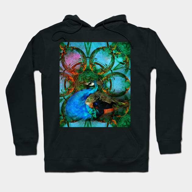 The Universe of the Peacock Hoodie by hereswendy